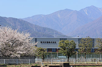 桜2