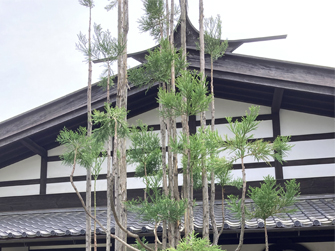 雀おどり・雀おどし