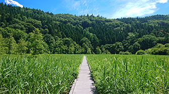 親海湿原