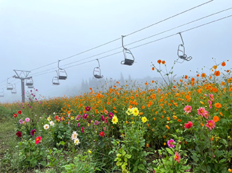 パノラマリフト