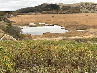 八島ヶ原湿原2